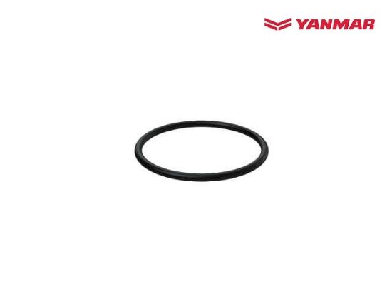 Yanmar Fuel Filter O-Ring, Part Number 24341-000440