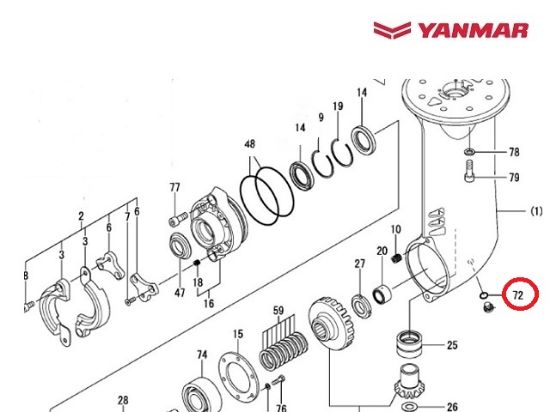 Yanmar Saildrive Drain Plug O-ring, Part Number 24341-000125