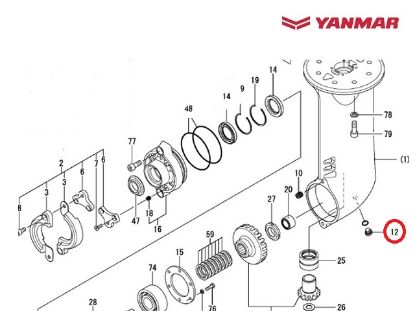 Yanmar Saildrive Drain Plug, Part Number 196420-02530