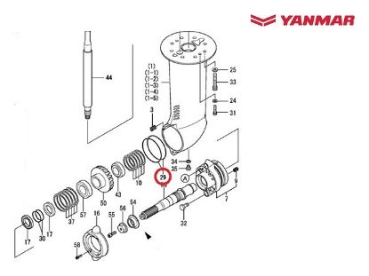 Yanmar Saildrive Bearing Carrier O-ring, Part Number 24321-000950