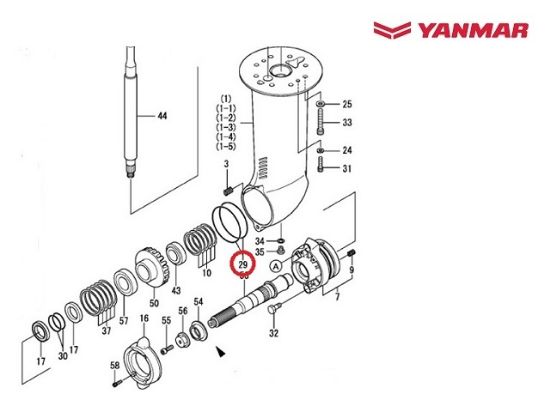 Yanmar Saildrive Bearing Carrier O-ring, Part Number 24321-000950