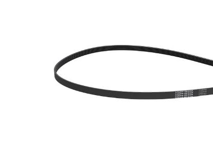 Volvo Penta water pump belt, Part Number 24677528