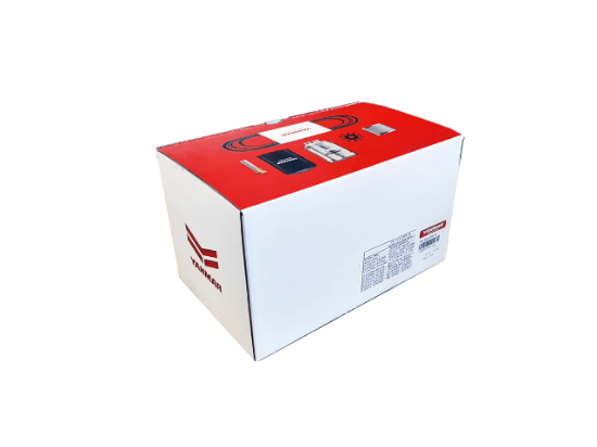 Yanmar Service kit for 6LY400 and 6LY440 diesel engines, Part Number SK-6LYCR-001-G