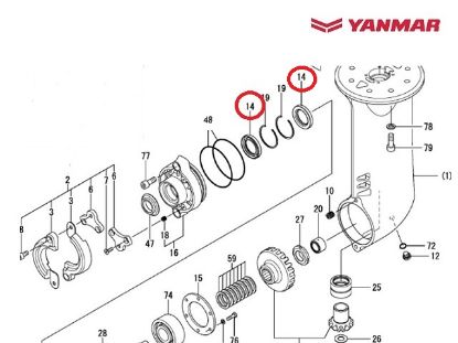 Yanmar Saildrive Drive Shaft Oil Seal, Part Number 196313-02591