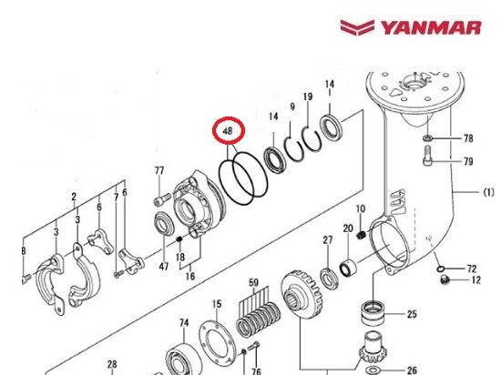 Yanmar Saildrive Bearing Carrier O-ring, Part Number 24321-000950