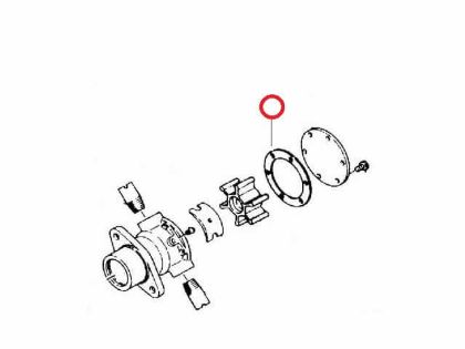 Yanmar Impeller Gasket, Part Number 124223-42110